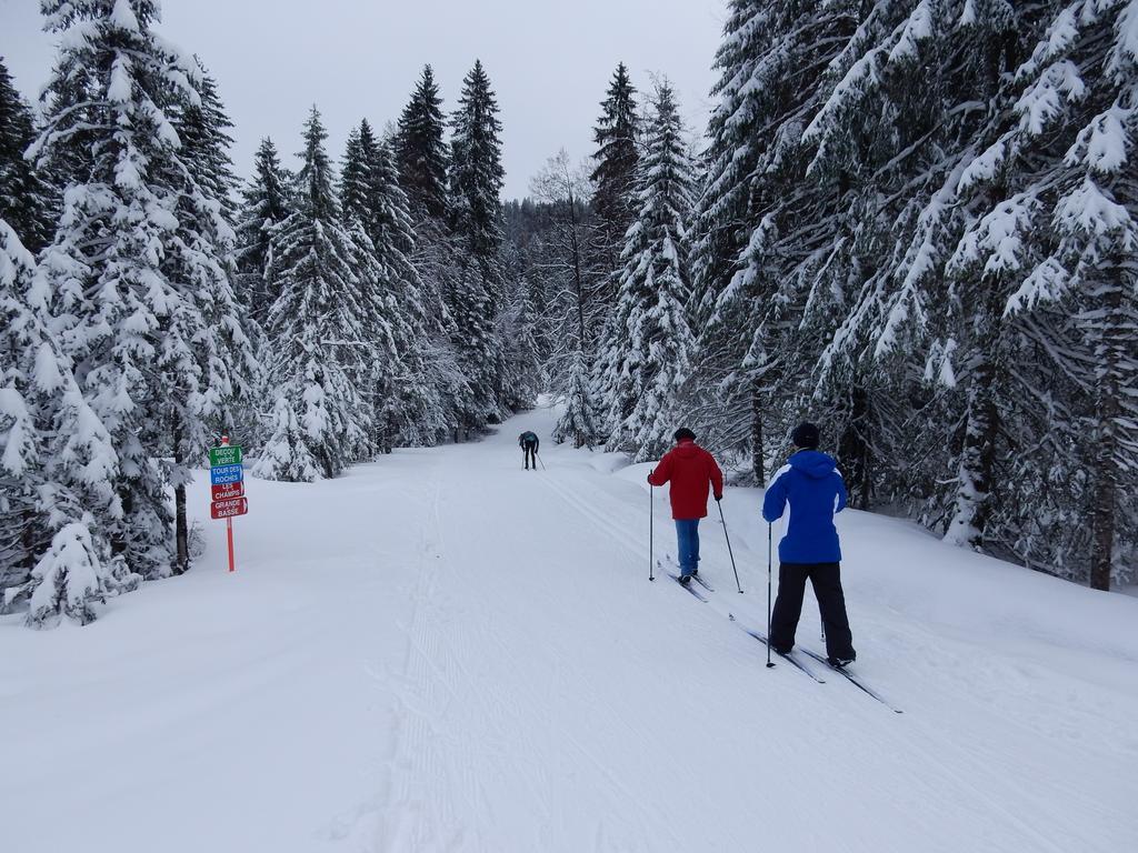Chalet Les Sapins Argentes Gerardmer Luaran gambar