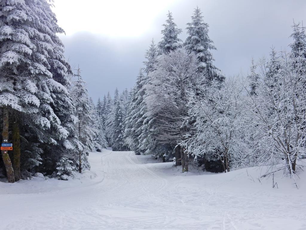 Chalet Les Sapins Argentes Gerardmer Luaran gambar