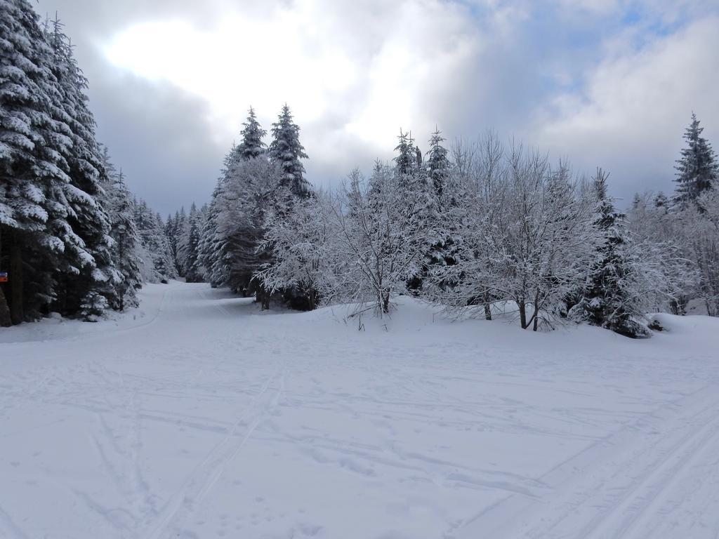Chalet Les Sapins Argentes Gerardmer Luaran gambar